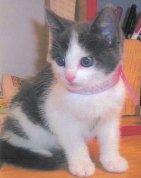 Bonus's first picture